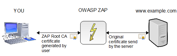 An overview of OWASP ZAP Proxy