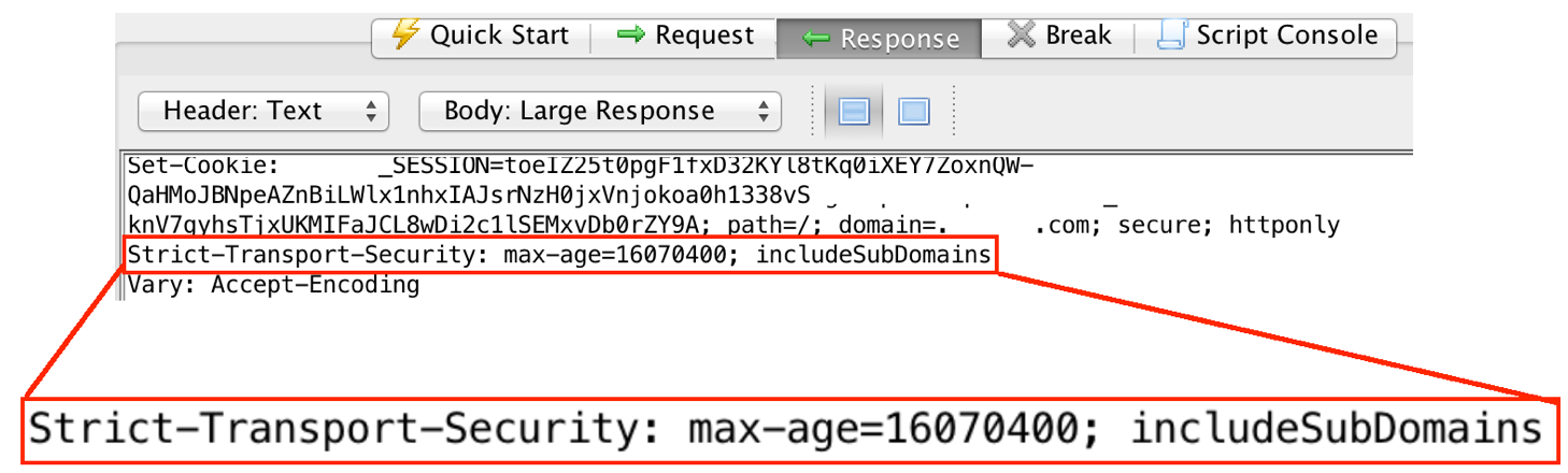 Proper use of Strict Transport Security headers, seen in ZAP