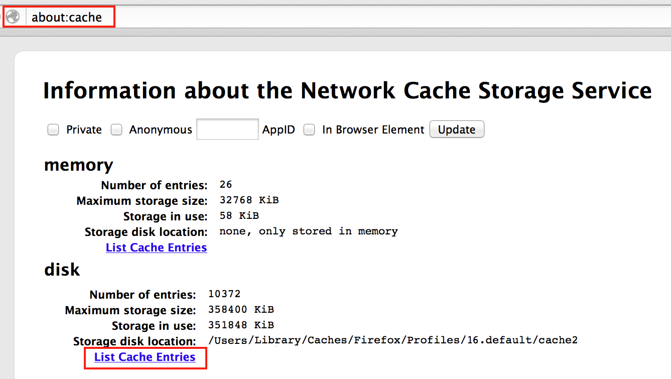 Accessing the browser cache in Firefox
