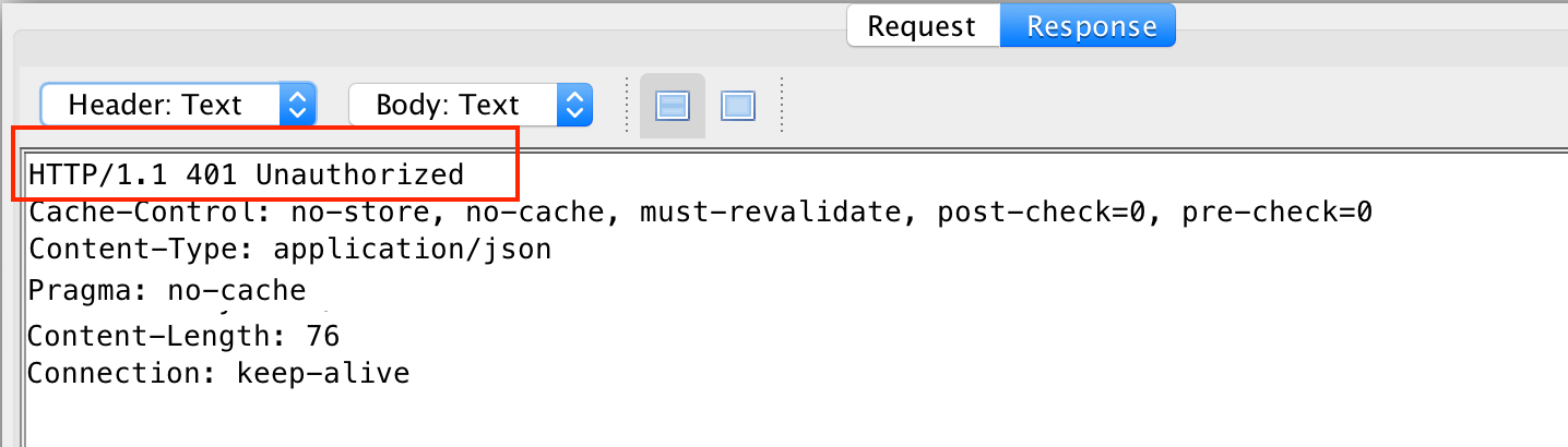 An access denied message to an API request, seen in ZAP