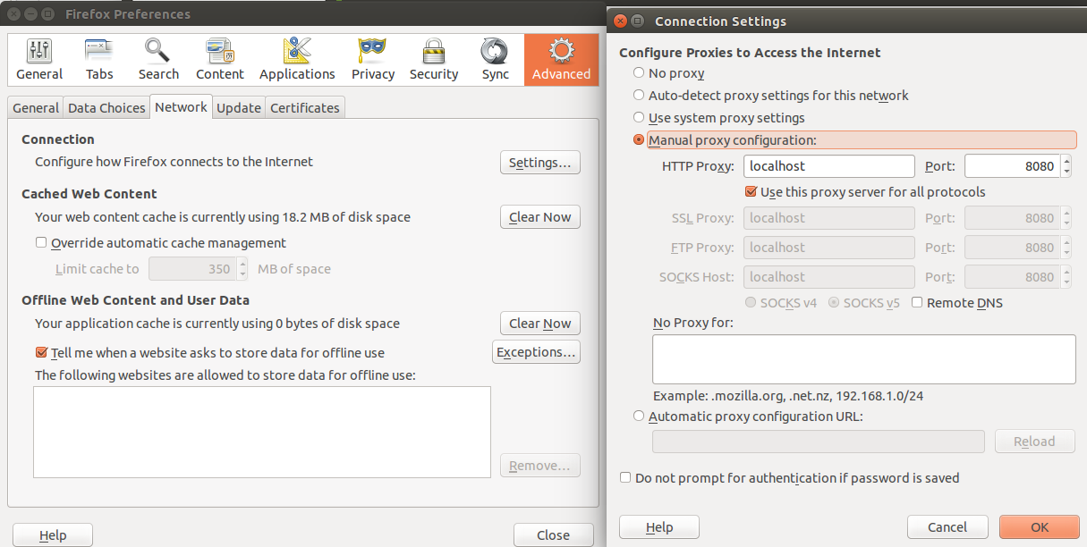 Set proxy address in Firefox