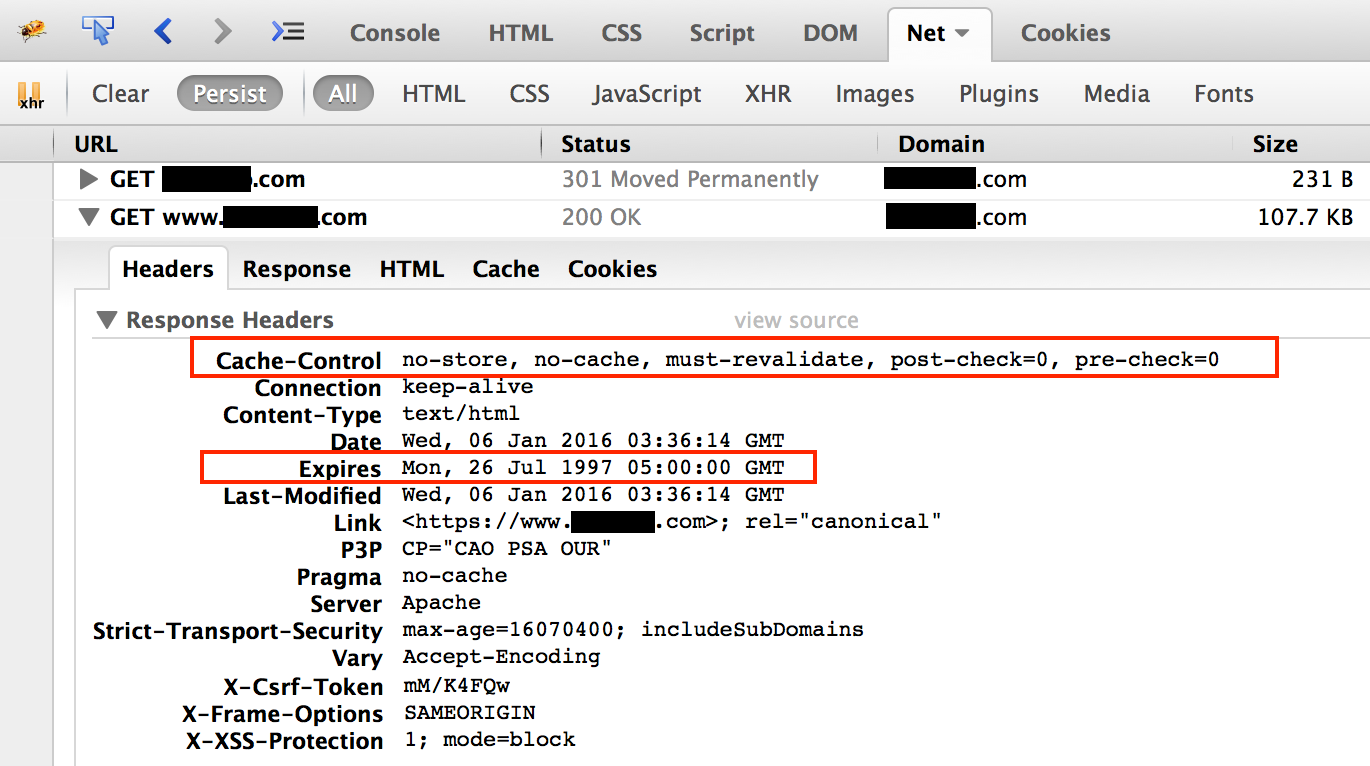 Satisfactory cache directives, displayed in Firebug