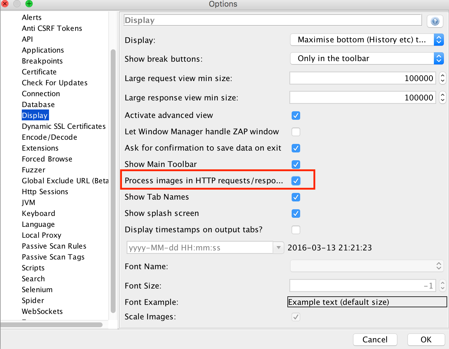 Set ZAP Proxy to display images in http requests and responses